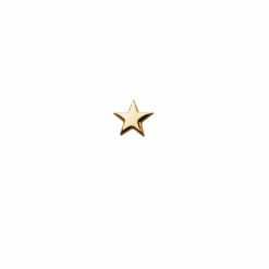 Piercing Estrela